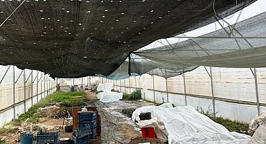 Manisa'da üreticiye sera naylon desteği