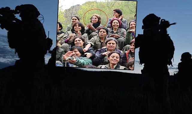 MİT'ten Kamışlı'da nokta operasyonu