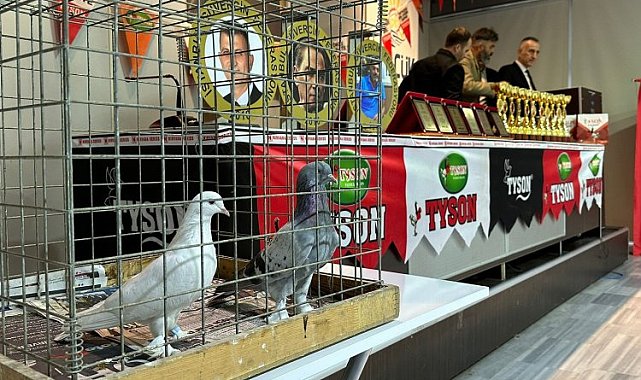 Oyun kuşları hünerlerini Gölcük'te sergiledi