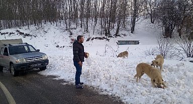 Pazaryeri'nde -10'da can dostlarına belediye şefkati