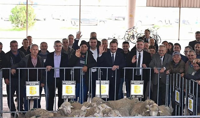 Üreticiye koç desteği