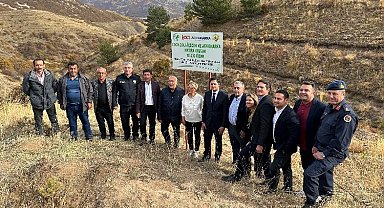 10 bin fidan karbon salınımını sıfırlayacak