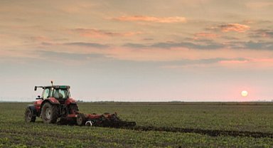 Atıl araziler üretime kazandırılıyor