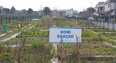 Beylikdüzü'nün 'hobi bahçeleri'nde kura heyecan