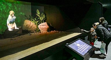 Dijital Hayvanat Bahçesi büyülüyor