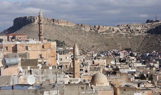 Erin, "Mardin'in medeniyet tarihinde Roma ve Venedik köydü"