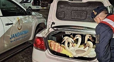 İpsala'da görenleri şaşkına çeviren olay