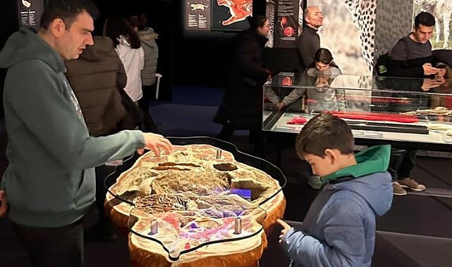 İstanbul'da 'anatomi sergisi'ne yoğun ilgi