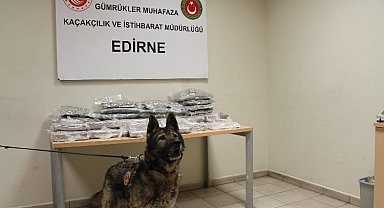 Kapıkule'de 33 kilogram uyuşturucu yakalandı