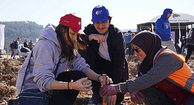 Milas'taki eski maden sahası yeşertildi