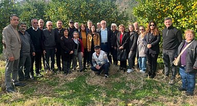 Muğla Milletvekili Özcan: "Bu sene limon dalında kaldı"