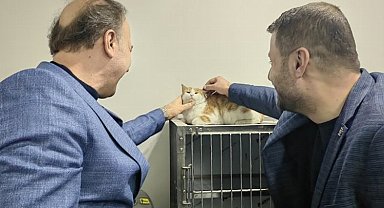 Sakat kediye büyükşehir adayı Erin sahip çıktı