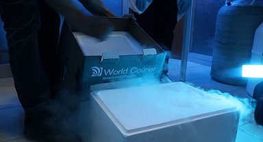 Uzaydaki kan örnekleri laboratuvarda