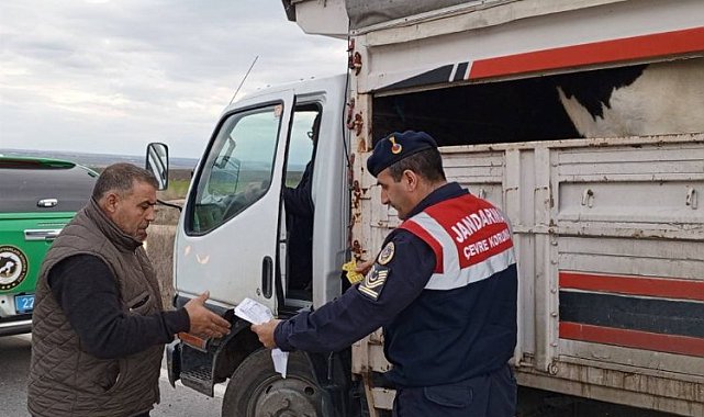 Uzunköprü'de canlı hayvan taşımacılığı kontrolü