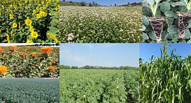 Bursa'nın 7 tarım projesine 3,7 milyon TL'lik bakanlık hibesi