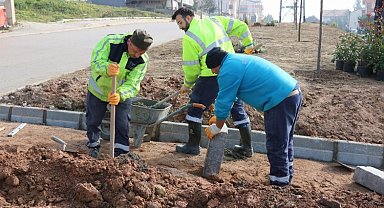 Büyükşehir, refüjleri ağaçlandırıyor
