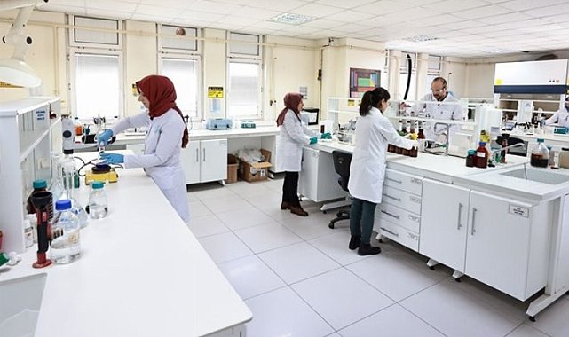 DENÇEV'den büyük başarı