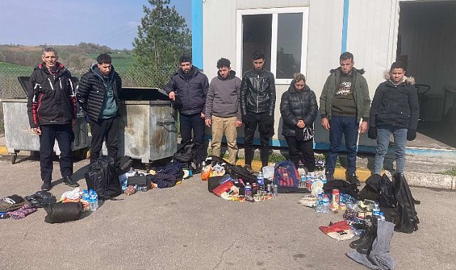 Edirne'de 8 kaçak göçmen yakalandı