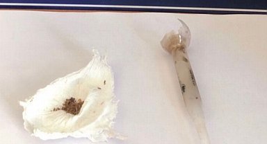 Keşan'da 3 günde uyuşturucudan 8 gözaltı!