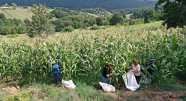 Kocaeli'de atıl arazileri tarıma kazandırıyor