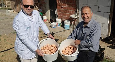 Kocaeli'de çiftçinin yüzü gülüyor