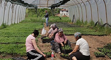 Kocaeli'den yüzde 75 hibeli tarım desteği