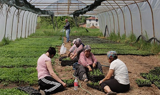 Kocaeli'den yüzde 75 hibeli tarım desteği