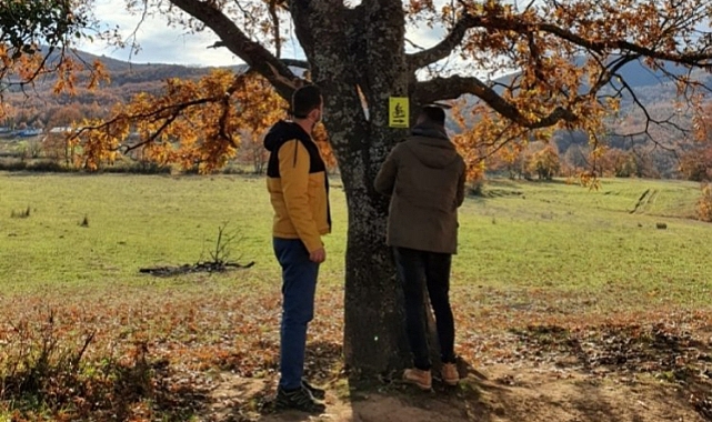 MysiaYolları'nın çalışmaları devam ediyor