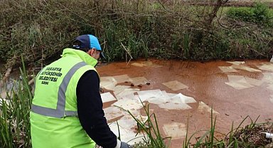 Sapanca Gölü'nde aralıksız çalışma
