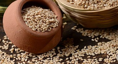 Susam ihracatında rekor artış!