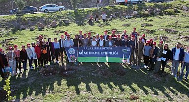 Talas'a 5 yılda 500 bin ağaç