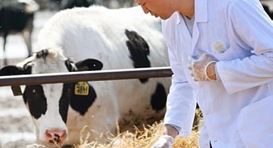 Tarımsal girdilerde veteriner harcamaları başı çekiyor