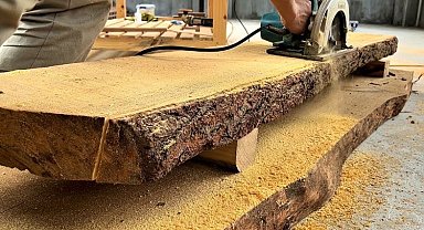 Türkiye ağaç sektörü iş ilanlarına cevap alamıyor!