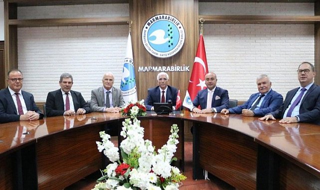 Zeytin üreticisine 860 milyon TL kredi desteği