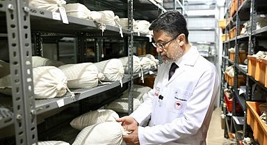 120 bin genetik materyal 'banka'larda korunuyor