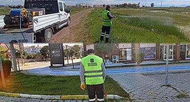 Balıkesir'de haşere alarmı