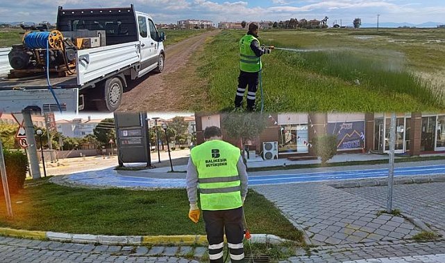 Balıkesir'de haşere alarmı