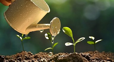 Bitki yetiştirmek bu hastalıklara iyi geliyor