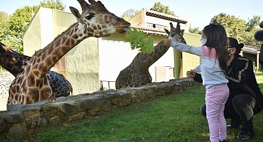 Bursa Büyükşehir'den 'hayvanat bahçesi' açıklaması