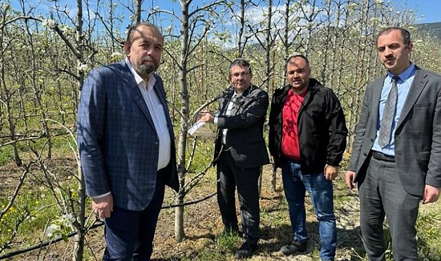 Bursa Gürsu'da armut bahçelerinde biyolojik mücadele