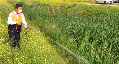 Bursa Yenişehir'de Başkan Özel, haşareyle mücadeleye bizzat katıldı