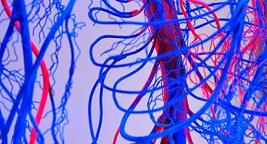 Damar tıkanıklığı tedavisinde yeni nesil yöntemler!