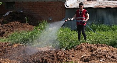 Düzce'de ilaçlama çalışmaları yeniden başladı