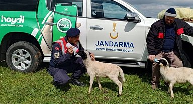 Edirne Jandarması'ndan hayvan sağlığı bilgilendirmesi