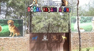 Gaziantep can dostlara sahip çıkıyor