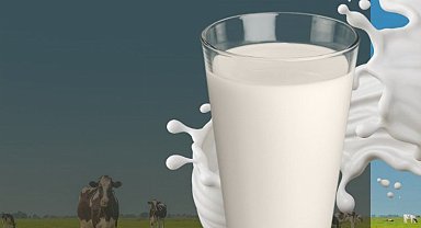 Günde en az 2 su bardağı süt dişleri güçlendiriyor