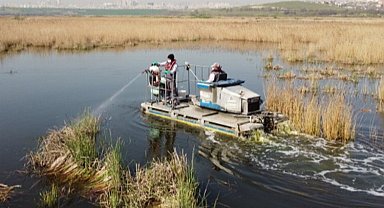 Havaların erken ısınmasıyla vektörle mücadele hız kazandı