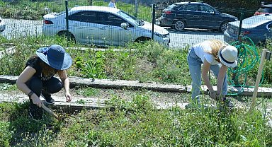 İstanbul'da hobi bahçeleriyle sahipleriyle buluştu