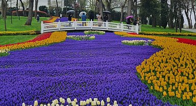 İstanbul'da lale bayramı başlıyor