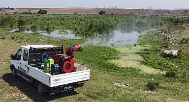 İstanbul'da vektörle mücadelede yoğunluk arttı